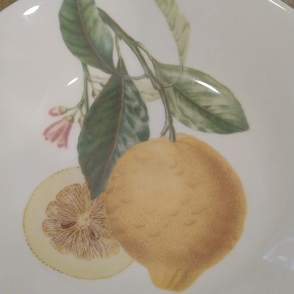 Lemon botanical dish Portugal 8
